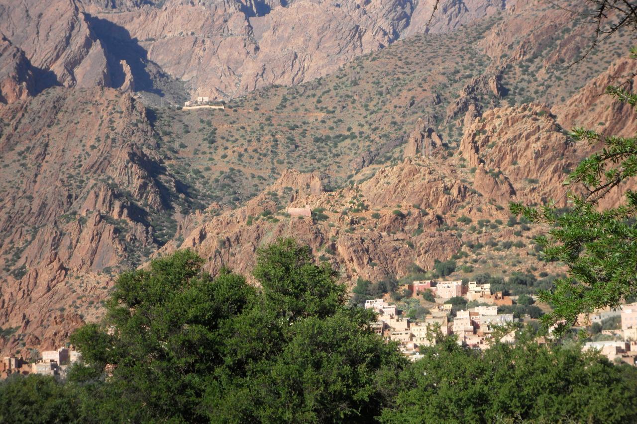 Auberge Kasbah Chez Amaliya Tafraout Eksteriør bilde